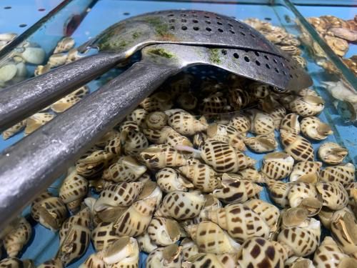 诺安成长混合、诺安和鑫混合基金经理变动 各增聘1名新基金经理(2025/09/26)